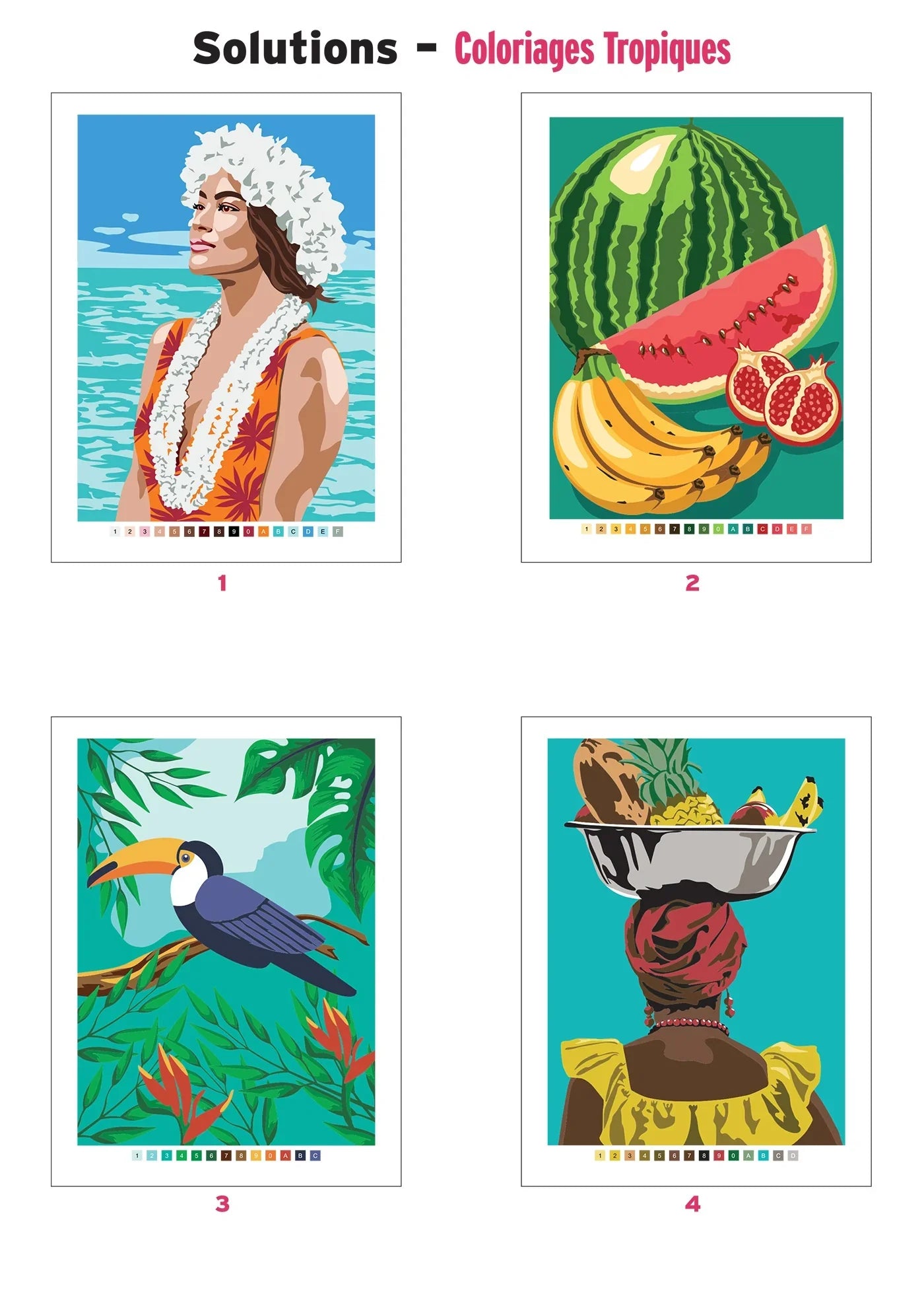 Trópicos - Pintura por Números